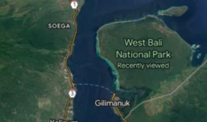 Hanya Berjarak 5 KM, Inilah Alasannya Tidak Ada Jembatan Penghubung Jawa dan Bali! Kenapa Pulau Jawa dan Pulau Bali tidak terhubung jembatan?
