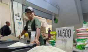Demi Tekan Harga, Bulog Segera Gelontorkan 100 Ton Beras di Bandung Barat Pedagang beras di Pasar Tradisional Padalarang, Kabupaten Bandung Barat. Minggu (15/10). Foto Jabarekspres