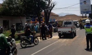 Pengendara Motor di Lembang Tewas Setelah Tertimpa Pohon Tumbang