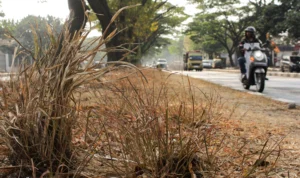 Dinilai Masih Rancu Bagi Masyarakat, BMKG Sebut Musim Kemarau 2023 Segera Berakhir Tapi El Nino Masih Mengancam