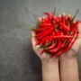 Miliki Rasa Pedas yang Nikmat, Ini Manfaat Konsumsi Cabai!