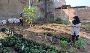 Warga Sukanampa Cimahi Sukses Transformasi Lahan Kosong Jadi 'Kampung Cengek'
