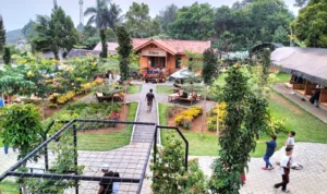 Menikmati Hidangan dan Alam dalam Satu Paket di Cafe Colecer Pemandangan Cafe Colecer
