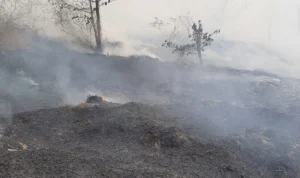 TPA Cikundul Terbakar, Penyebab Belum Diketahui Penampakan TPA Cikundul di Kota Sukabumi yang terbakar pada Minggu, 22 Oktober 2023 pukul 13.00 WIB.