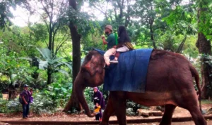 Butuh Dukungan Anggaran, Perda Kepariwisataan Jangan Hanya jadi Pelengkap Koleksi Butuh Dukungan Anggaran, Perda Kepariwisataan Jangan Hanya jadi Pelengkap Koleksi