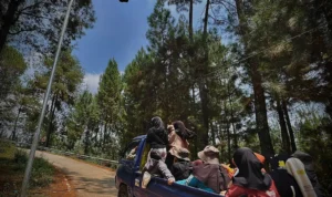 Intalasi listrik penerangan jalan umum belum terpasang meski PJU sudah berdiri kokoh di sepanjang ruas jalan Gununghalu-Cilangari. Senin (23/10). Foto Jabarekspres/uwit