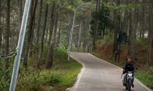Tiang PJU di sepanjang ruas jalan Bunijaya-Cilangari, Kecamatan Gununghalu sudah terpasang. Senin (23/10). Foto Jabarekspres/wit