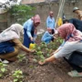 Doc. Penyuluhan Dispangtan Kota Cimahi Pada Warga Kp. Sukanampa Kota Cimahi (Firman)