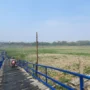 Jembatan apung penghubung Kecamatan Batujajar dan Kecamatan Cihampelas menapak hingga ke dasar sungai. Selasa (24/10). Foto Jabarekspres/wit