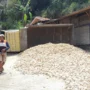 Mobil Mitsubishi Dump Truck bernomor polisi Z 8203 DV terguling saat menanjak di Jalan Raya Palasari, Kabupaten Sukabumi pada Rabu, 26 Oktober 2023.