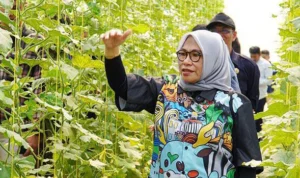 Angka Stunting di Kota Bogor Turun, Pemkot Kucurkan Anggaran di APBD 2024