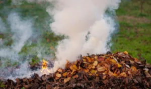 Satpol PP Larang Masyarakat Depok Bakar Sampah Sembarangan