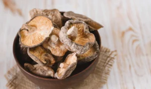 Ketahui Kandungan dan Manfaat Dari Jamur Shiitake Bagi Kesehatan