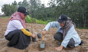 Sukarelawan Ganjar Pranowo yang tergabung dalam Pandawa Ganjar menggelar kegiatan penanaman puluhan pohon kayu putih untuk mencegah tanah longsor, di Kampung Kiara Sinar Wangi, Desa Pulosari, Kecamatan Pangalengan, Kabupaten Bandung, Minggu 15 Oktober 2023.