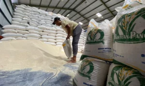 Meski Gagal Panen, Stok Beras Kota Banjar dan Ciamis Limpah Ruah!