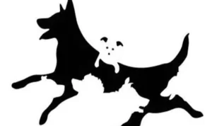 Tes Kepribadian untuk Mengungkap Pemikiranmu