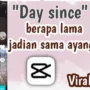 Tren Viral 'Day Since' di TikTok
