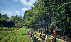 Liburan ke Bogor, Jangan Lupa Kunjungi 5 Tempat Wisata Ini! Liburan ke Bogor, Jangan Lupa Kunjungi 5 Tempat Wisata Ini!