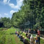 Liburan ke Bogor, Jangan Lupa Kunjungi 5 Tempat Wisata Ini!