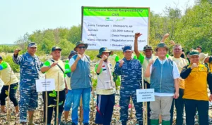 World Habitat Day, Pegadaian dan Warga Cirebon Tanam 10.000 Pohon Mangrove, Benteng Alami dari Erosi