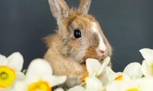 Hari Hewan Sedunia, Memperingati Keberagaman Hewan di Bumi