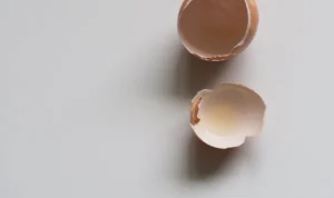 World Egg Day, The Uses and Importance of Eggs in Life