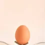 Hari Telur Sedunia, Kegunaan dan Kepentingan Telur dalam Kehidupan