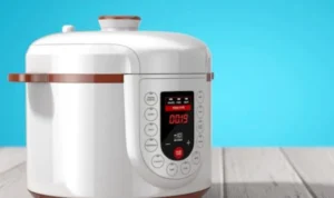 Pemerintah Siap Bagi-bagi Rice Cooker Gratis Kepada Masyarakat