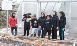 Seni Panen Berkelanjutan di Kebun Kopi Java Halu Seni Panen Berkelanjutan di Kebun Kopi Java Halu