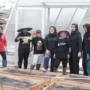 Seni Panen Berkelanjutan di Kebun Kopi Java Halu