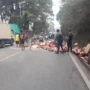 Tak Kuat Nanjak, Truk Muatan Keramik Terguling di Jalan Raya Puncak