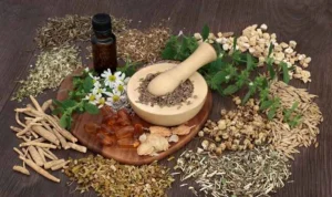 Anjuran Menggunakan Obat-obatan Herbal dalam Islam Anjuran Menggunakan Obat-obatan Herbal dalam Islam