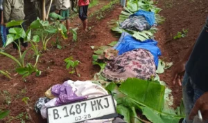 3 Korban kecelakaan maut di Rancakalong, Kabupaten Sumedang telah berhasil dievakuasi.