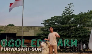 Kisah Pemuda Sukabumi Dari Anak Kandang Jadi Pengusaha Ternak Domba!