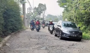 PHRI Desak Pemkab Bogor Perbaiki Jalan Alternatif Puncak yang Rusak