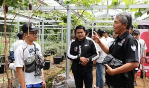 Sukarelawan Ganjartivity menyatakan optimistis untuk meraup suara milenial dan Gen Z bagi pasangan Ganjar-Mahfud di Pilpres 2024.