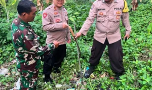 Duel Berujung Maut di Bojonggenteng Sukabumi, Pelaku Diduga Gunakan Bom Molotov Duel Berujung Maut di Bojonggenteng Sukabumi, Pelaku Diduga Gunakan Bom Molotov