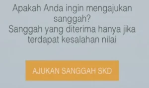 Masa Sanggah SKD, Berikut 5 Contoh Kalimat Sanggah dan Alasan Ajukan Pemeriksaan Ulang Nilai SKD CPNS 2023/ TikTok