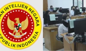 BIN sudah umumkan hasil nilai SKD CPNS 2023, berikut Tthapan tes SKB selanjutnya yang dapat diketahui/ Kolase BIN dan KempanRB