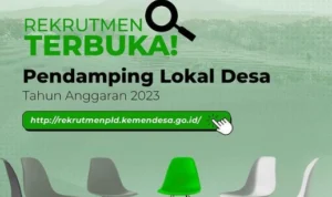 Cek Syarat Rekrutmen Pendamping Lokal Desa 2023/ Instagram @kemendespdtt