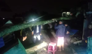 Pohon Tumbang Tutupi Ruas Jalan di Kabupaten Bandung