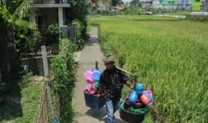 Luas Panen Padi Jabar Makin Anjlok, Komisi II Sarankan Ada BUMD jadi Integrator Modali Petani