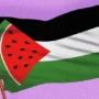 arti semangka palestina