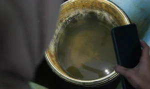 Musim Pancaroba, Waspada Penyebaran Kasus DBD! Ini Kata Dinkes Jabar Ist. Pengecekan jentik nyamuk di tempat penampungan air sebagai langkah antisipasi DBD. Foto. Pandu Jabar Ekspres.