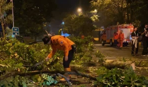3 Kecamatan di Kabupaten Bandung Sempat Diterjang Puting Beliung, BMKG Sebut Dampak Pancaroba
