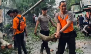 Antisipasi Pohon Tumbang Selama Musim Hujan, DLH Kota Cimahi Siapkan Tim Khusus