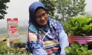 Masyarakat menyiang tanaman di halaman Posyandu Komplek Puskopad, Cisurupan, Kota Bandung. (Pandu Muslim/Jabar Ekspres)