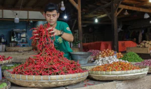 Harga Cabai di Kota Bandung Merangkak Naik Berkali Lipat