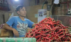 Cabai di Kota Bandung Sentuh Harga Tinggi, Ini Penyebabnya! Cabai di Kota Bandung Sentuh Harga Tinggi, Ini Penyebabnya!
