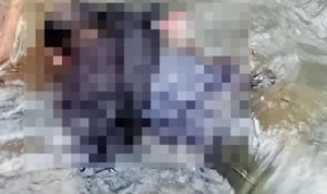 Pria Paruh Baya Terpeleset, Jasadnya Ditemukan Mengambang di Kali Cipaku Pria Paruh Baya Terpeleset, Jasadnya Ditemukan Mengambang di Kali Cipaku